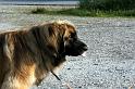 img_5998