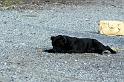 img_6096