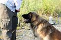 img_6268