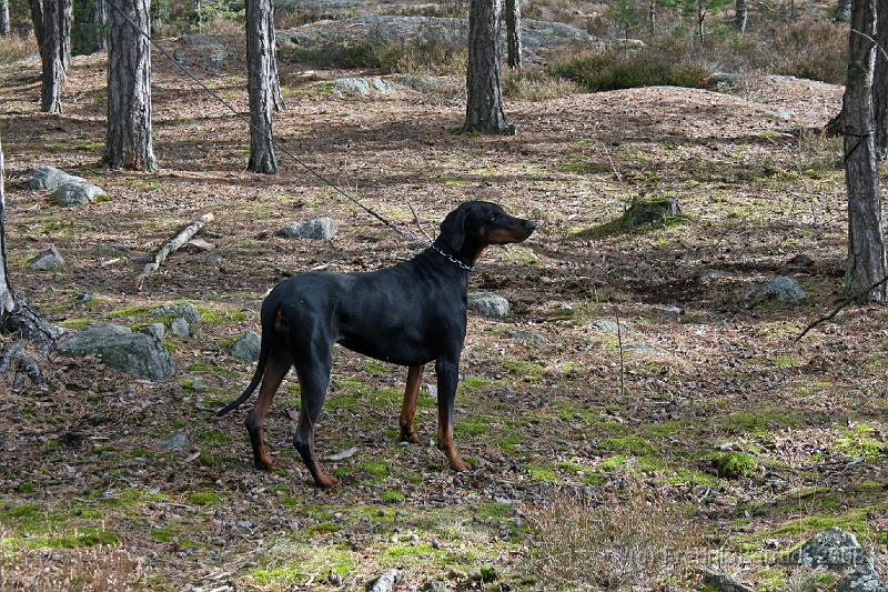 IMG_7462_redigerad-1.JPG - Vanja