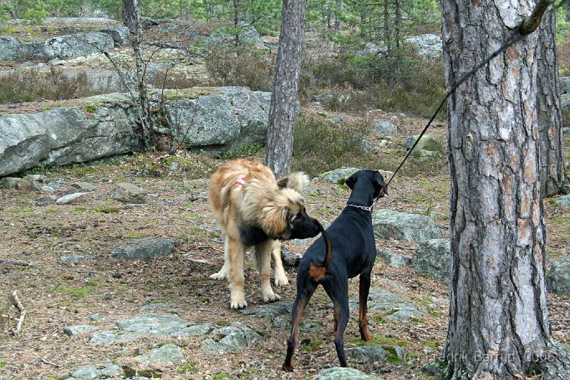 IMG_7523_redigerad-1.JPG - Sniff Sniff