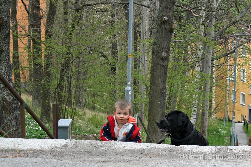 IMG_7823_redigerad-1.JPG