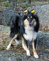IMG_7450_redigerad-1