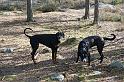 IMG_7453_redigerad-1