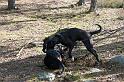 IMG_7455_redigerad-1
