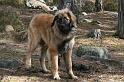 IMG_7459_redigerad-1