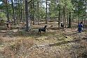 IMG_7461_redigerad-1