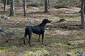IMG_7462_redigerad-1