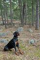 IMG_7477_redigerad-1