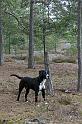 IMG_7479_redigerad-1