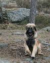 IMG_7515_redigerad-1