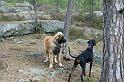 IMG_7518_redigerad-1