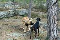 IMG_7523_redigerad-1
