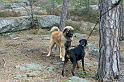 IMG_7532_redigerad-1