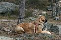 IMG_7565_redigerad-1