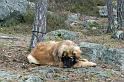 IMG_7567_redigerad-1