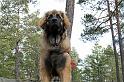 IMG_7574_redigerad-1