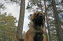 IMG_7575_redigerad-1