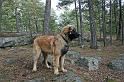 IMG_7578_redigerad-1