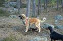 IMG_7609_redigerad-1