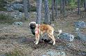 IMG_7610_redigerad-1