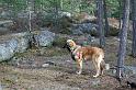 IMG_7619_redigerad-1