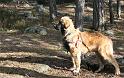IMG_7628_redigerad-1