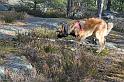 IMG_7637_redigerad-1
