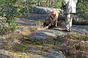 IMG_7642_redigerad-1