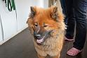 IMG_7815_redigerad-1