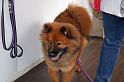 IMG_7818_redigerad-1