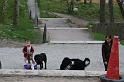 IMG_7822_redigerad-1