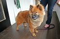IMG_7816_redigerad-1