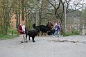IMG_7831_redigerad-1