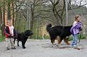 IMG_7833_redigerad-1
