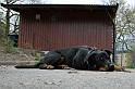 IMG_7840_redigerad-1