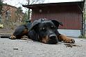 IMG_7842_redigerad-1