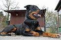 IMG_7843_redigerad-1