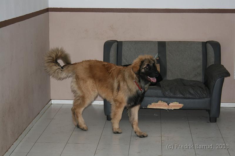 ekens-10.jpg