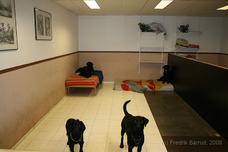 ekens-44.jpg